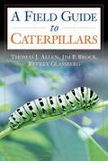 Allen / Brock / Glassberg |  Caterpillars in the Field and Garden | Buch |  Sack Fachmedien