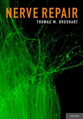 Nerve Repair | Buch | 978-0-19-516990-4 | www.sack.de
