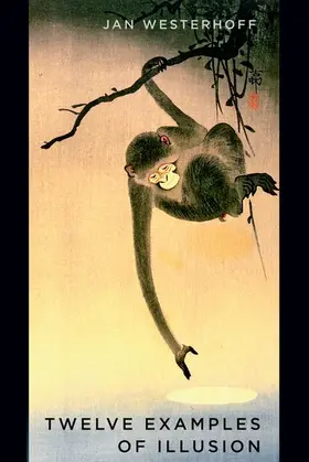 Westerhoff |  TWELVE EXAMPLES OF ILLUSION C | Buch |  Sack Fachmedien