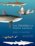 Castro / Peebles |  Sharks of North America | Buch |  Sack Fachmedien