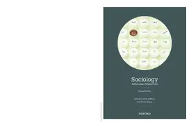 Beilharz / Hogan |  Sociology: Antipodean Perspectives | Buch |  Sack Fachmedien