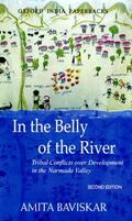 Baviskar |  In the Belly of the River | Buch |  Sack Fachmedien