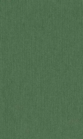 Morgan |  The Bright-Meyler Papers | Buch |  Sack Fachmedien