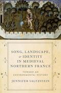 Saltzstein |  Song, Landscape, and Identity in Medieval Northern France | Buch |  Sack Fachmedien