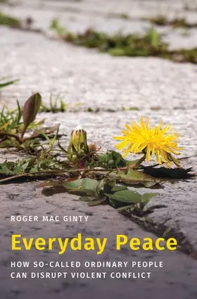 Mac Ginty |  Everyday Peace | Buch |  Sack Fachmedien