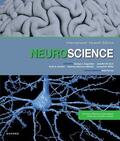 LaMantia / Augustine / Purves |  Neuroscience | Buch |  Sack Fachmedien