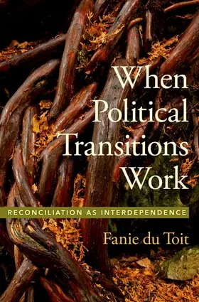du Toit |  When Political Transitions Work | Buch |  Sack Fachmedien