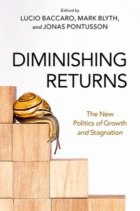  Diminishing Returns | Buch |  Sack Fachmedien
