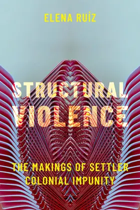 Ruíz |  Structural Violence | Buch |  Sack Fachmedien