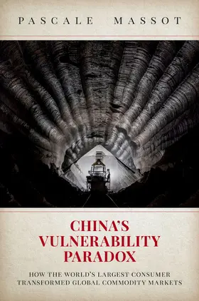 Massot |  China's Vulnerability Paradox | Buch |  Sack Fachmedien