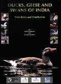 Rahmani / Islam |  Ducks, Geese and Swans of India | Buch |  Sack Fachmedien