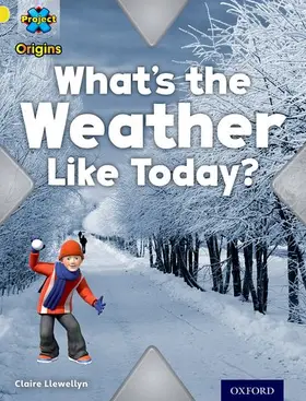 Llewellyn |  Project X Origins: Yellow Book Band, Oxford Level 3: Weather: What's the Weather Like today? | Buch |  Sack Fachmedien