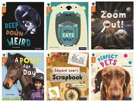 Alcraft / McDougall / Hubbard |  Oxford Reading Tree inFact: Level 6: Class Pack of 36 | Buch |  Sack Fachmedien