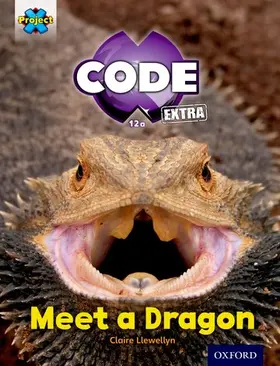 Llewellyn |  Project X CODE Extra: Light Blue Book Band, Oxford Level 4: Dragon Quest: Meet a Dragon | Buch |  Sack Fachmedien