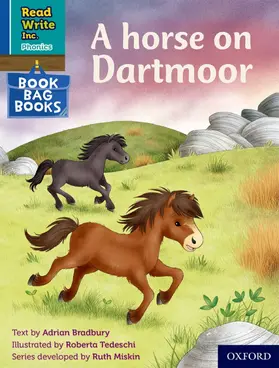 Bradbury |  A horse on Dartmoor (Blue Set 6 Book Bag Book 2) | Buch |  Sack Fachmedien
