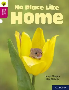 Morgan |  Oxford Reading Tree Word Sparks: Level 10: No Place Like Home | Buch |  Sack Fachmedien