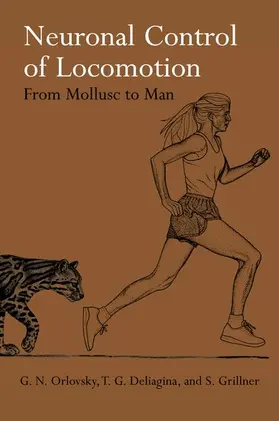 Orlovsky / Orlovskii / Deliagina |  Neuronal Control of Locomotion 'From Mollusc to Man ' | Buch |  Sack Fachmedien