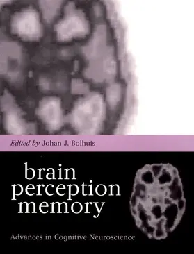 Bolhuis |  Brain, Perception, Memory | Buch |  Sack Fachmedien