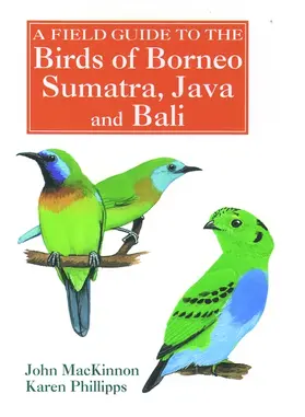 MacKinnon / Phillipps |  A Field Guide to the Birds of Borneo, Sumatra, Java, and Bali | Buch |  Sack Fachmedien
