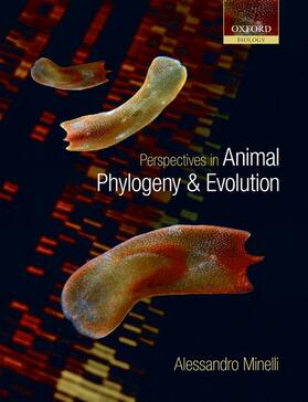 Minelli | PERSPECTIVES IN ANIMAL PHYLOGE | Buch | 978-0-19-856621-2 | sack.de