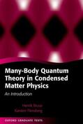 Bruus / Flensberg |  Many-Body Quantum Theory in Condensed Matter Physics | Buch |  Sack Fachmedien