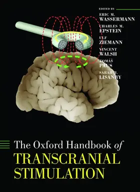 Wassermann / Epstein / Ziemann |  Oxford Handbook of Transcranial Stimulation | Buch |  Sack Fachmedien