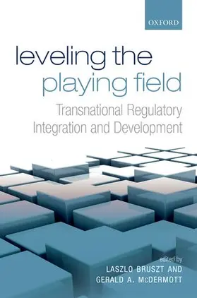 Bruszt / McDermott | Leveling the Playing Field | Buch | 978-0-19-870314-3 | www.sack.de