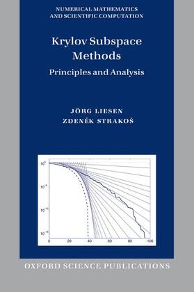 Liesen / Strakos |  Krylov Subspace Methods | Buch |  Sack Fachmedien