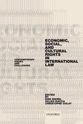 Riedel / Giacca / Golay |  Economic, Social, and Cultural Rights in International Law | Buch |  Sack Fachmedien