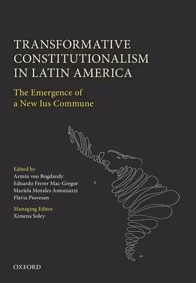 Al / von Bogdandy / Ferrer Mac-Gregor |  TRANSFORM CONSTIT IN LATIN AMERICA C | Buch |  Sack Fachmedien