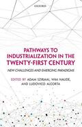 Szirmai / Naude / Naudé |  Pathways to Industrialization in the Twenty-First Century: New Challenges and Emerging Paradigms | Buch |  Sack Fachmedien