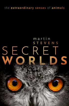 Stevens |  Secret Worlds | Buch |  Sack Fachmedien
