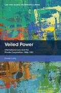 Lustig |  Veiled Power | Buch |  Sack Fachmedien