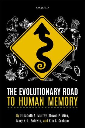 Murray / Wise / Baldwin | The Evolutionary Road to Human Memory | Buch | 978-0-19-882805-1 | sack.de