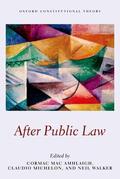 Mac Amhlaigh / Michelon / Walker |  After Public Law | Buch |  Sack Fachmedien