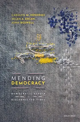 Al / Hendriks / Ercan |  MENDING DEMOCRACY C | Buch |  Sack Fachmedien