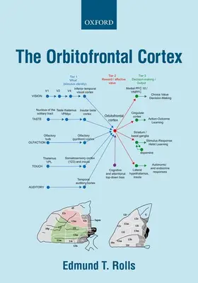 Rolls |  Orbitofrontal Cortex | Buch |  Sack Fachmedien
