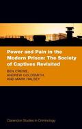 Crewe / Goldsmith / Halsey |  Power and Pain in the Modern Prison: The Society of Captives Revisited | Buch |  Sack Fachmedien