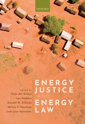 del Guayo / Godden / Zillman | Energy Justice and Energy Law | Buch | 978-0-19-886075-4 | sack.de