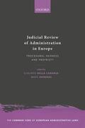 della Cananea / Andenas |  Judicial Review of Administration in Europe | Buch |  Sack Fachmedien