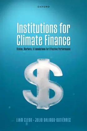 Clegg / Galindo-Gutiérrez |  Institutions for Climate Finance | Buch |  Sack Fachmedien