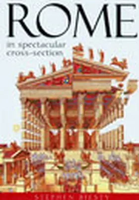 Solway |  Rome | Buch |  Sack Fachmedien