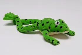 Miskin |  Read Write Inc.: Fred the Frog - Toy | Sonstiges |  Sack Fachmedien