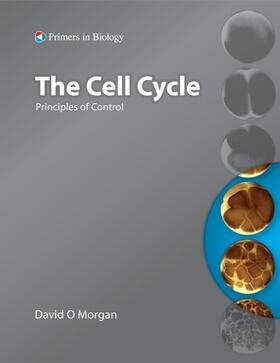 Morgan | The Cell Cycle | Buch | 978-0-19-920610-0 | sack.de