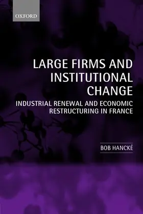 Hancke / Hancké |  Large Firms and Institutional Change | Buch |  Sack Fachmedien