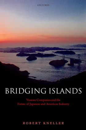 Kneller |  Bridging Islands | Buch |  Sack Fachmedien