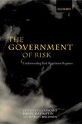 Hood / Rothstein / Baldwin |  The Government of Risk | Buch |  Sack Fachmedien