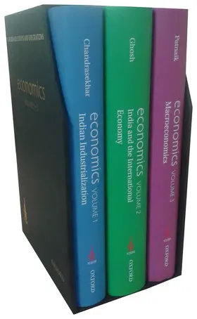 Chandrasekhar / Ghosh / Patnaik | Icssr Research Surveys and Explorations: | Buch | 978-0-19-945896-7 | sack.de