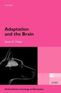 Healy |  Adaptation and the Brain | Buch |  Sack Fachmedien
