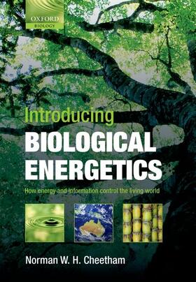 Cheetham |  Introducing Biological Energetics | Buch |  Sack Fachmedien